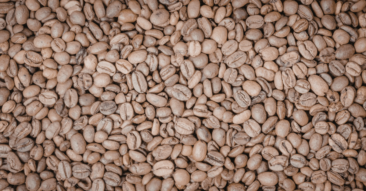 Lightly roasted coffee beans