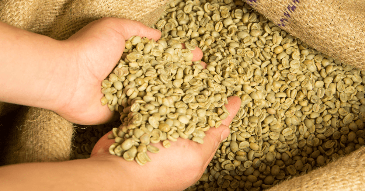 Decaffeinated coffee beans