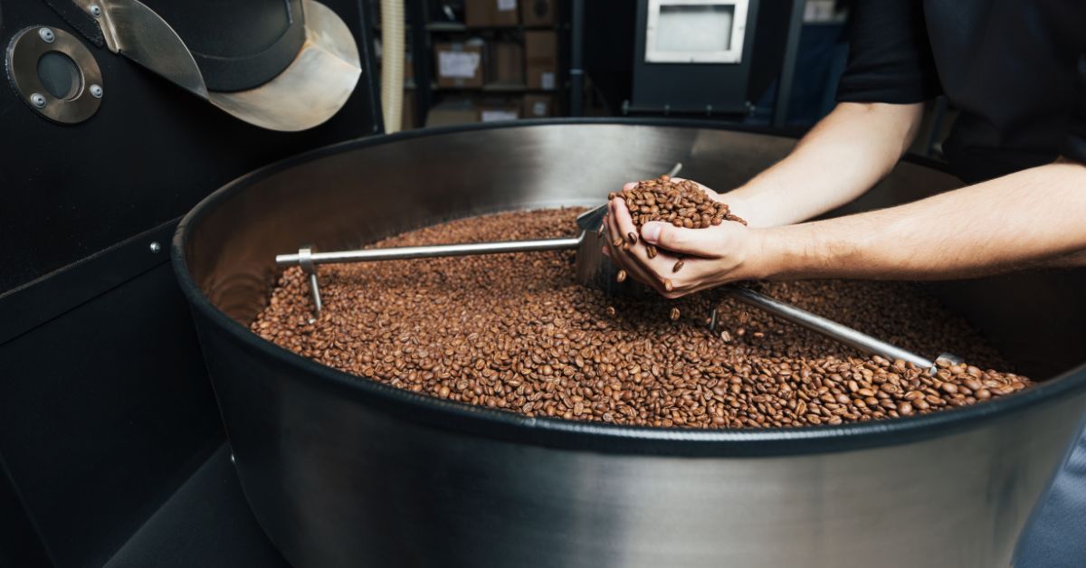 A person scooping a handful of coffee beans from a coffee roaster