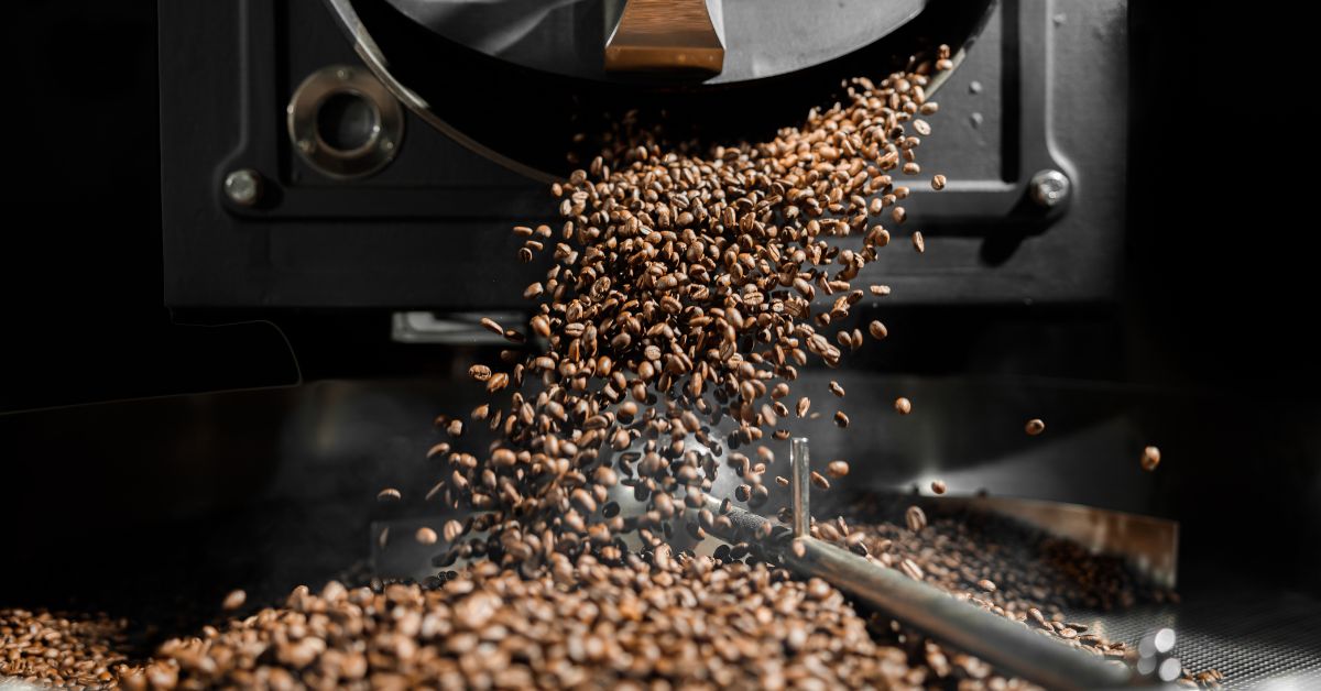 decaf coffee beans being deposited into a coffee roaster for roasting